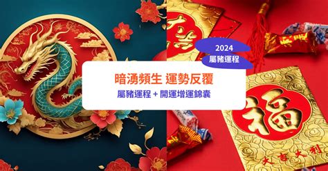 2024屬豬運程|屬豬2024運勢丨屬豬增運顏色、開運飾物、犯太歲化解、年份